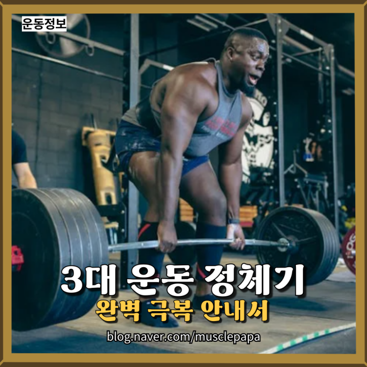  중급자 이상을 위한 3대 운동 기록 향상법 – 프로그램 설계와 전략