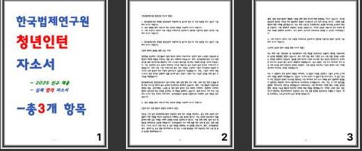 [합격] 한국법제연구원 청년인턴 자소서