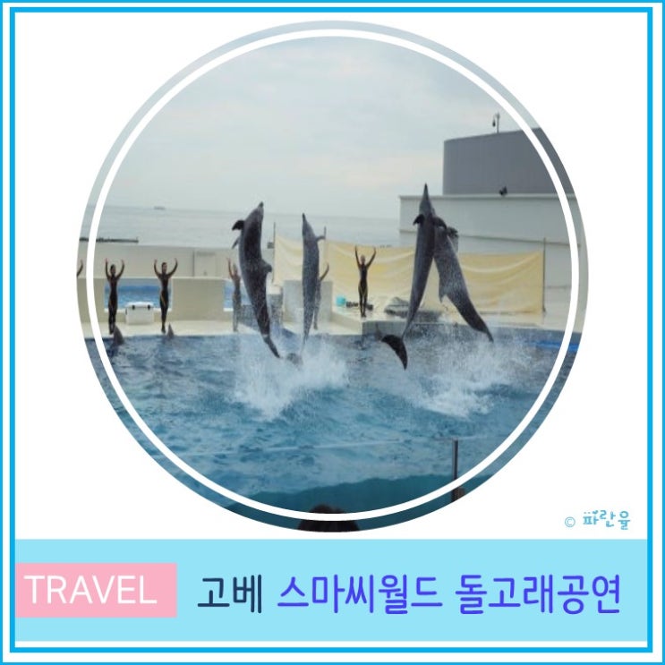  고베 관광 추천 여행 코스 스마 씨월드 돌고래 쇼 후기