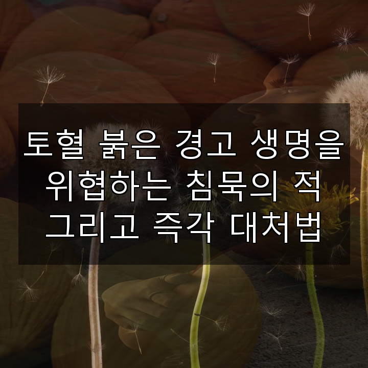 토혈 붉은 경고 생명을 위협하는 침묵의 적 그리고 즉각 대처법