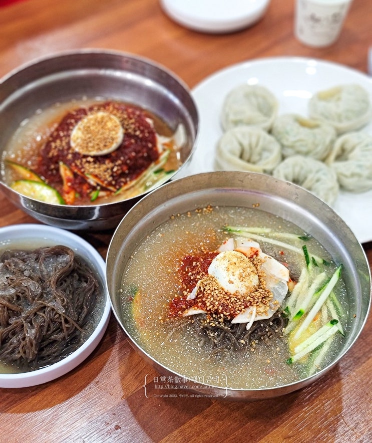  광주 봉선동 맛집 금성칡냉면 광주지사 왕만두 냉면 맛집