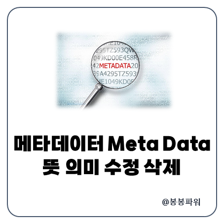 메타데이터 뜻 정의 오류 삭제 수집 검색