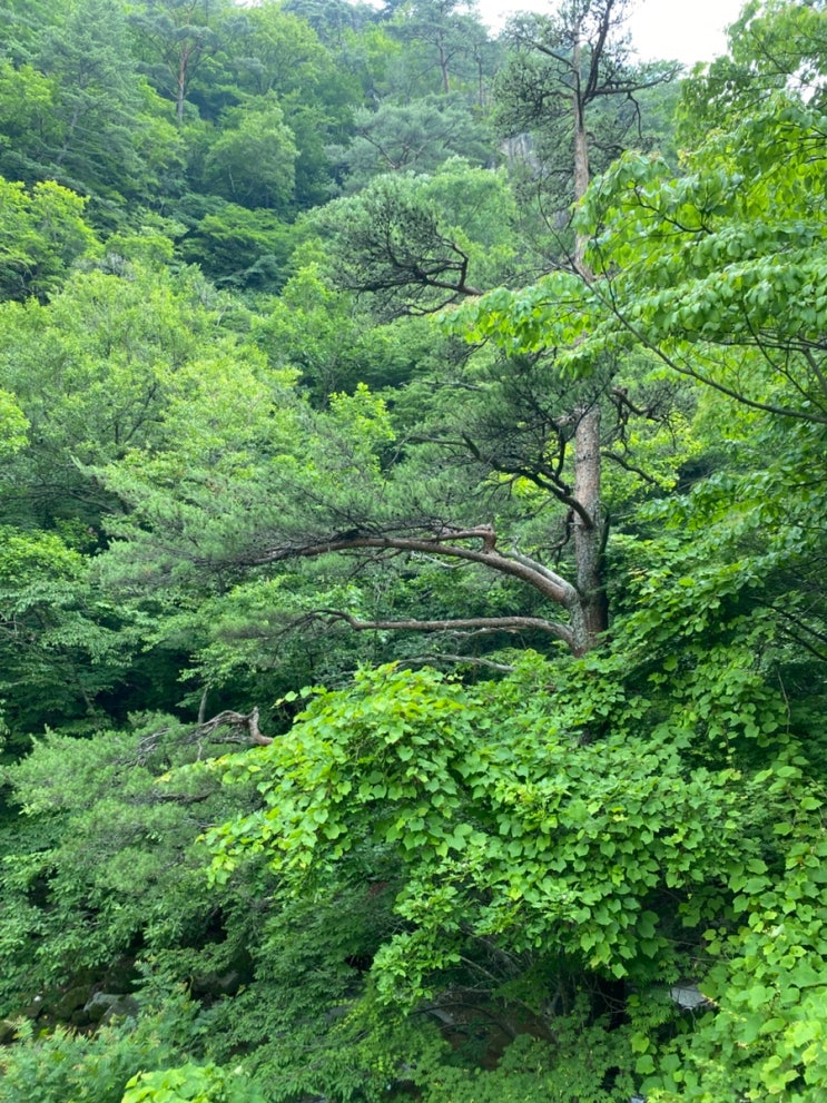 [디카시]너란...녀석