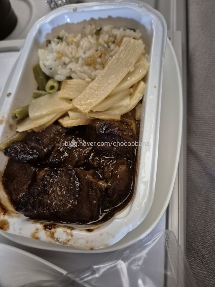  인천-발리 대한항공 기내식 비빔밥 중화볶음밥 피자 아이스크림