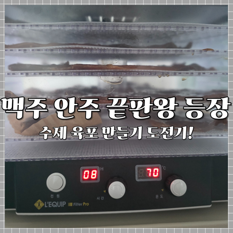 식품건조기로 소고기 육포 만들기 | 집에서도 쫄깃하게 잘됐어요!