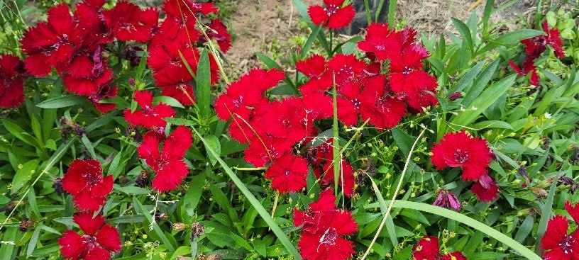 요한이네민박 사진 2