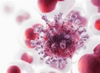 마크로글로불린혈증(원발성 마크로글로불린혈증; Waldenström Macroglobulinemia)