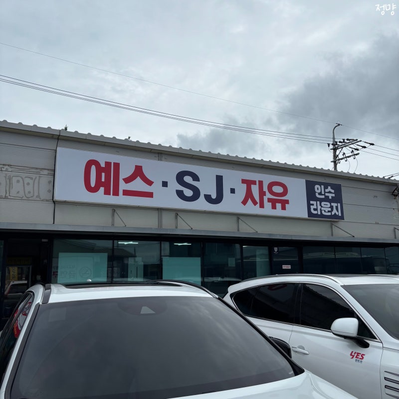 제주 자유렌트카 솔직 후기
