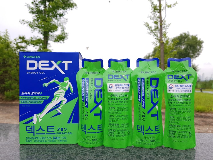링티 덱스트 에너지젤 등산과 고강도운동에 딱 맞는 상큼 에너지 부스터 링티 덱스트 에너지젤 등산과 고강도운동에 딱 맞는 상큼 에너지 부스터