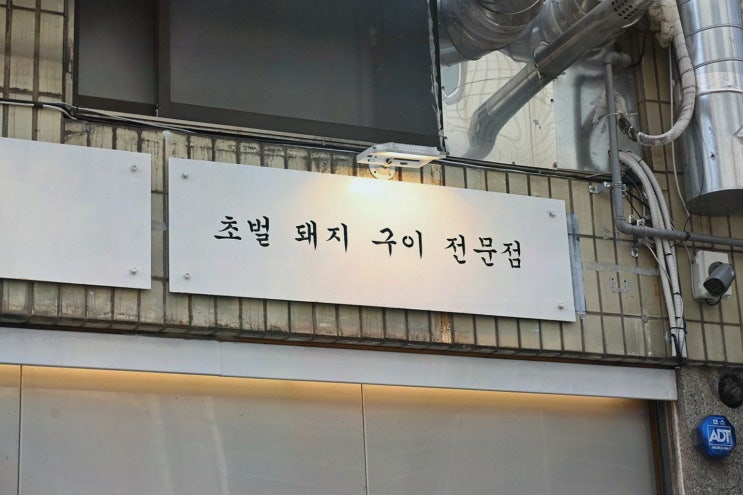  서면에서 고기 요리를 즐기고 싶어요? 전포 맛집 도화식당에서 특별한 경험을!