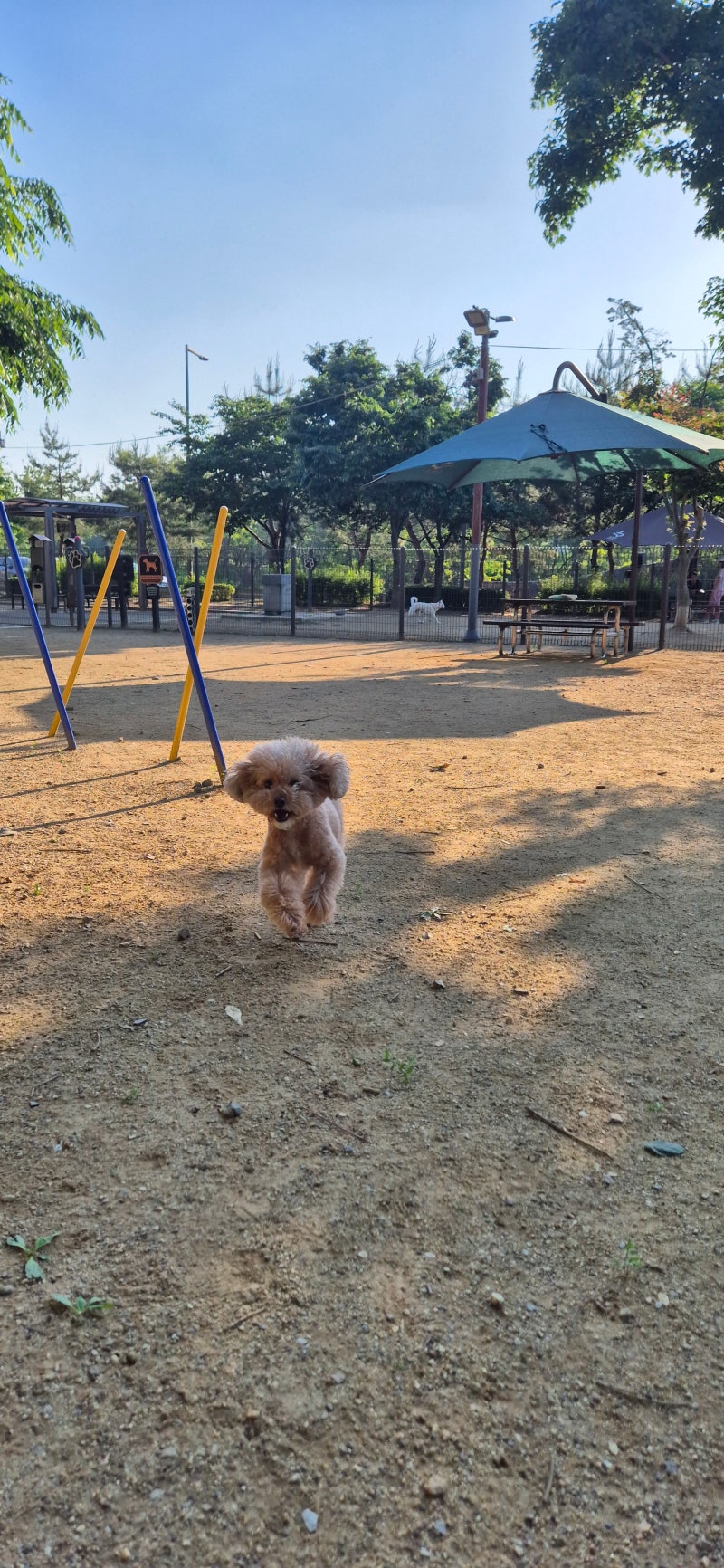 사진 4