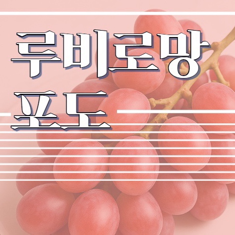  루비로망포도 묘목:맛,당도,효능-진짜?가짜?