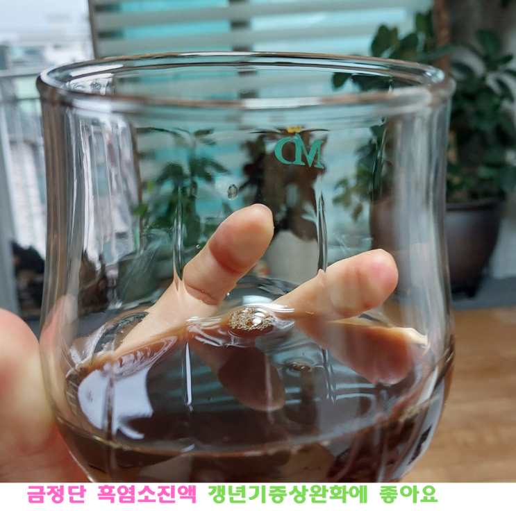 [솔직후기] 갱년기와 면역력 부족으로 추천받은 금정단 푸에란 흑염소진액 한달후기