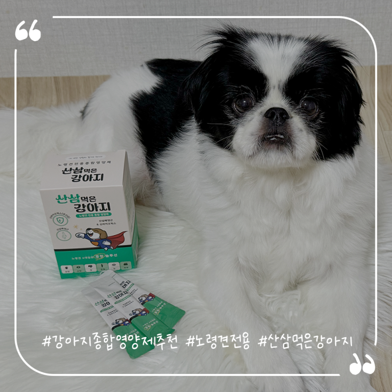 강아지종합영양제추천 노령견전용 산삼먹은강아지