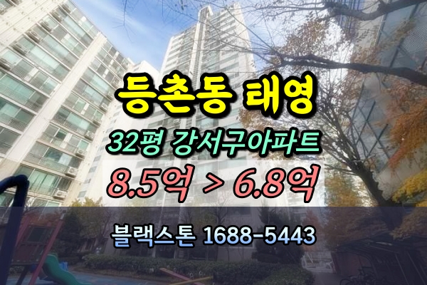  등촌동 태영아파트 경매 32평