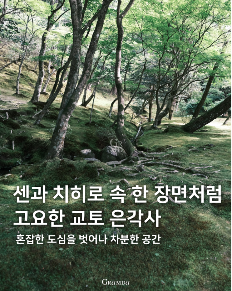 센과 치히로 속 한 장면처럼, 섬세하고 고요했던 공간 오사카 근교 교토 은각사 센과 치히로 속 한 장면처럼, 섬세하고 고요했던 공간 오사카 근교 교토 은각사