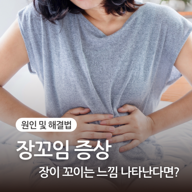 장꼬임 증상 장이 꼬이는 느낌 원인 및 해결 응급실 가야하는 상황?