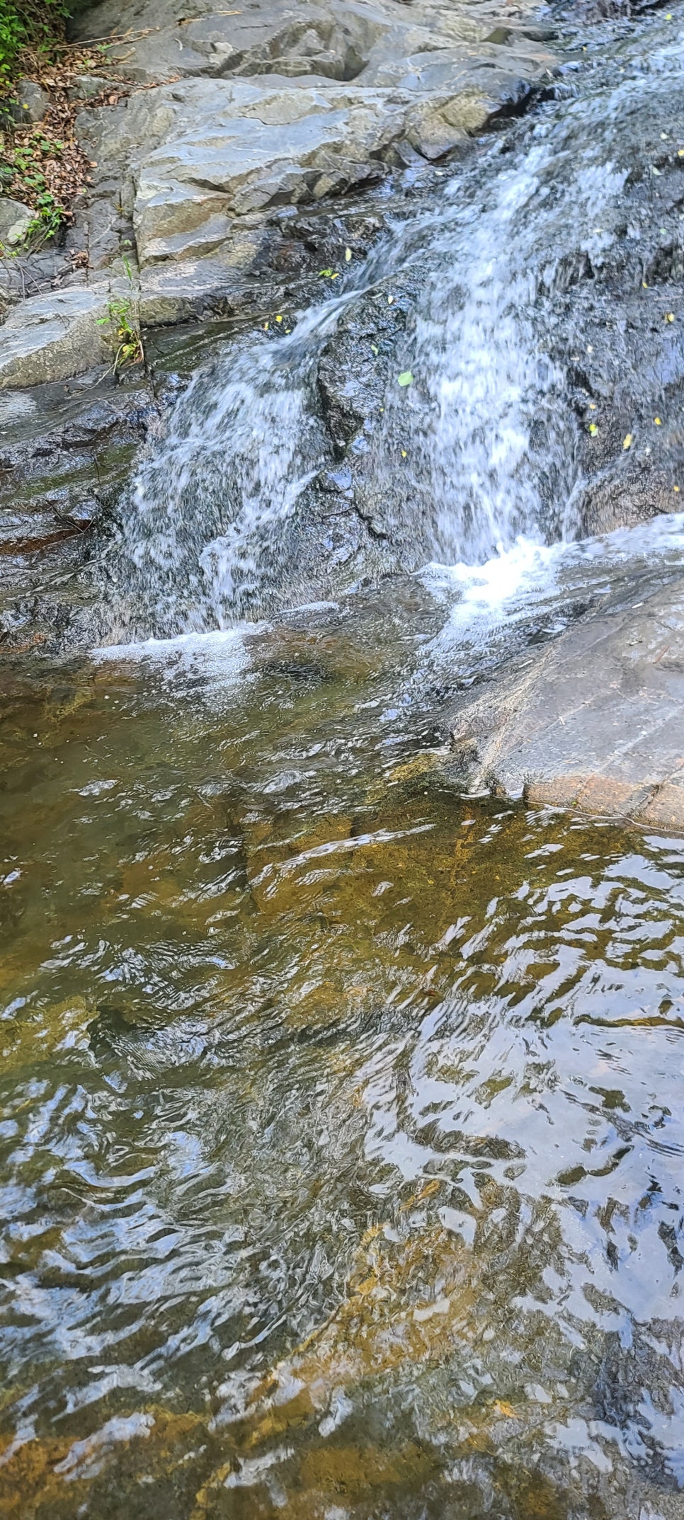 지리산오도재주막 사진 2