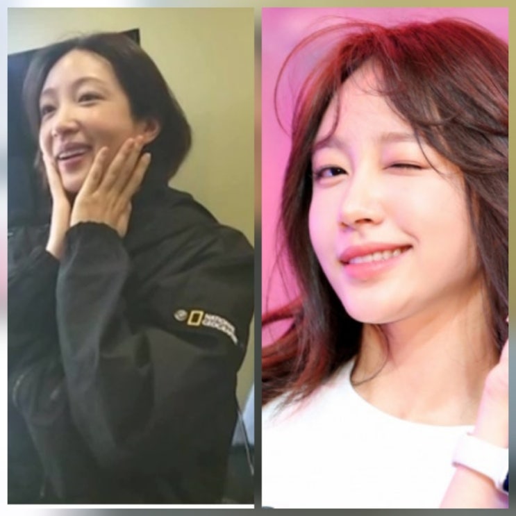 오은영 스테이 하니 결혼 연기 근황 오은영 스테이 하니 결혼 연기 근황