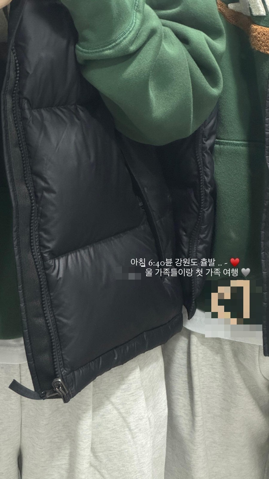 도담도담애견펜션 사진 1