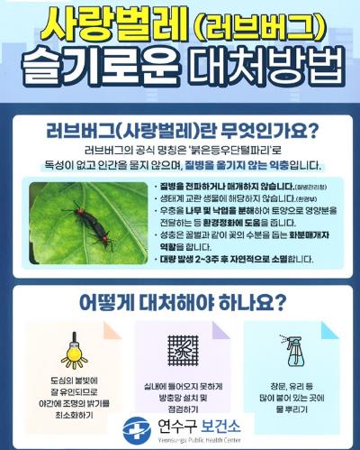 연수구, 러브버그 방제 친환경 집중 방역소독