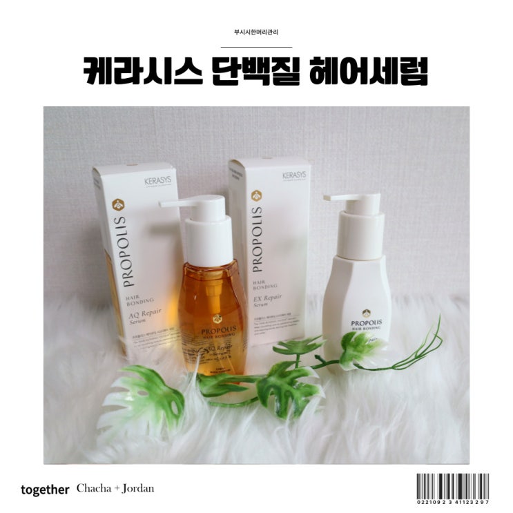  단백질 헤어에센스 케라시스 헤어세럼 부시시한 머리 관리법