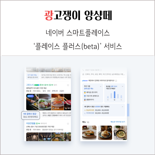 네이버 스마트플레이스 플레이스 플러스 beta 서비스