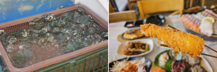  [월곶수산마켓] 신선한 해산물과 가성비 좋은 대게 만나보세요! 월곶포구맛집