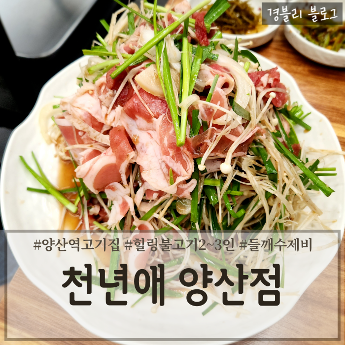  양산역 맛집 양산대패오리불고기맛집 복날오리고기추천 '천년애 양산점'