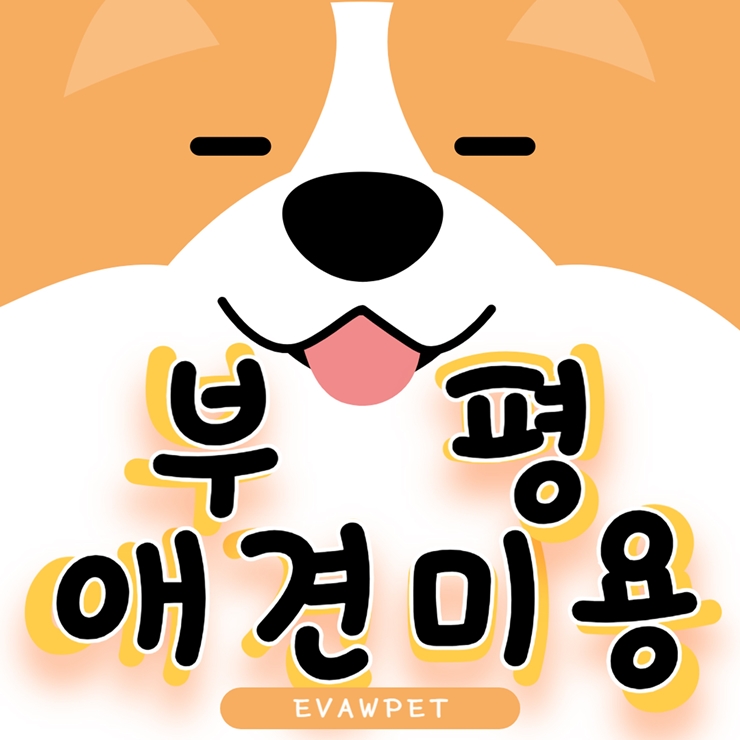  부평애견미용학원 전문가가 선택한 애완동물 미용의 첫걸음