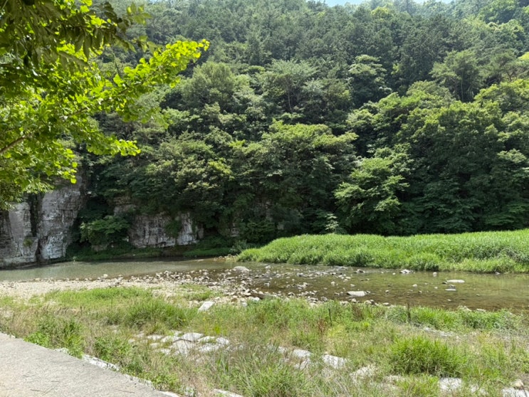   고속도로 밑, 용댐계곡에서 의외의 힐링을 만나다 