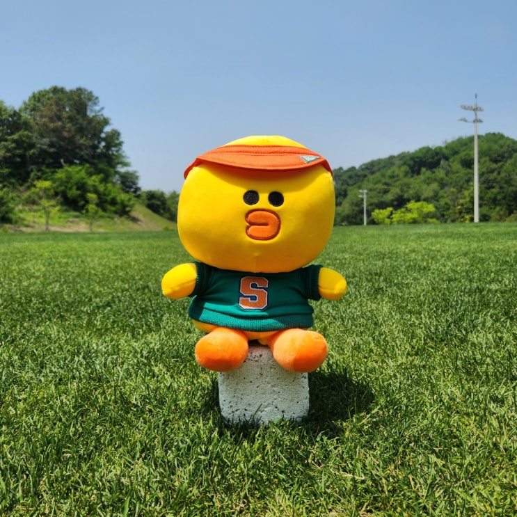 20대 여자 귀여운 캐릭터 골프 용품 라인프렌즈 드라이버 커버 샐리 귀여움의 끝판왕