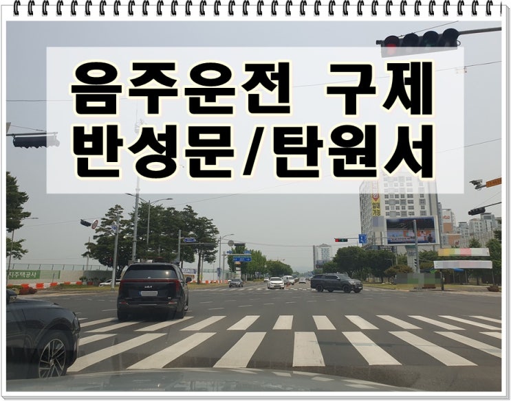 음주운전 재범 반성문 탄원서 경찰 조사 양형자료 행정구제