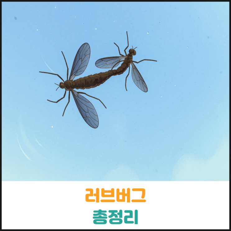 러브버그 총정리 러브버그 총정리