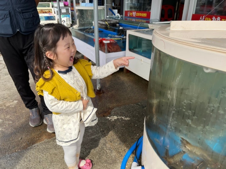  충남 당진에 위치한 삽교호놀이동산