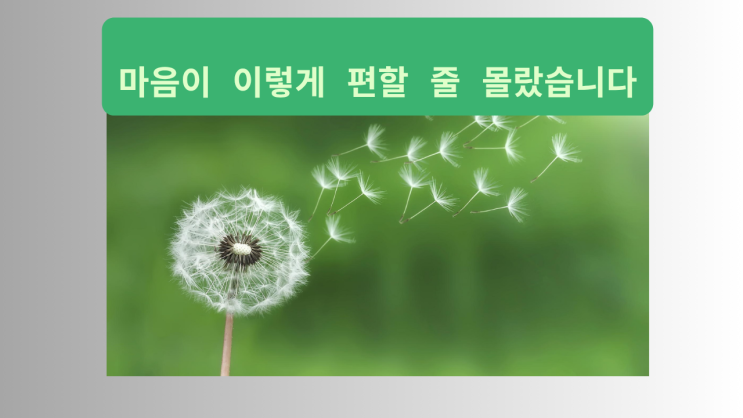  친자확인검사, 기관에서 아무도 모르게 진행 후기