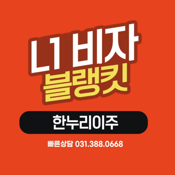  미국 주재원 성공적인 미국 파견 비자 4개월 만에 L1 비자 승인!