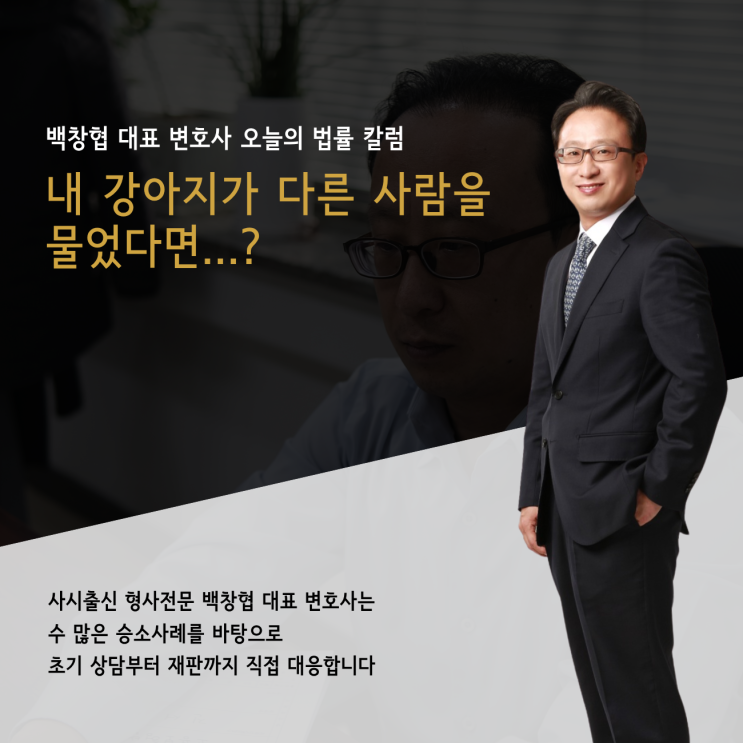  내 강아지가 다른 사람을 물었다면...?