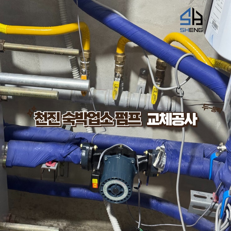 속초고성양양설비 전문 천진 숙박업소 온수순환펌프 교체작업