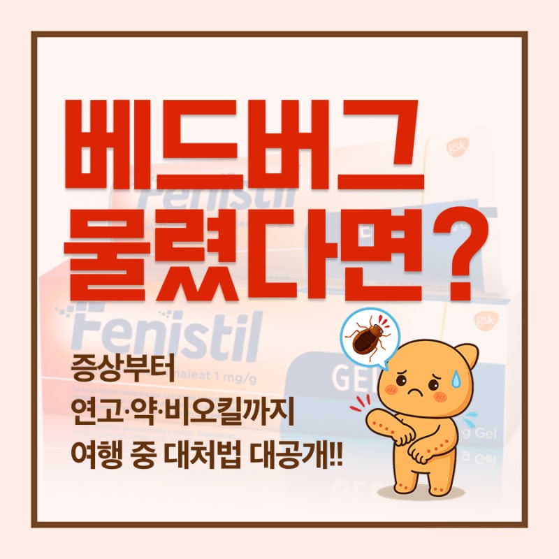 베드버그 물렸을 때 여행 중 대처법 총정리! 증상·연고·약·비오킬까지