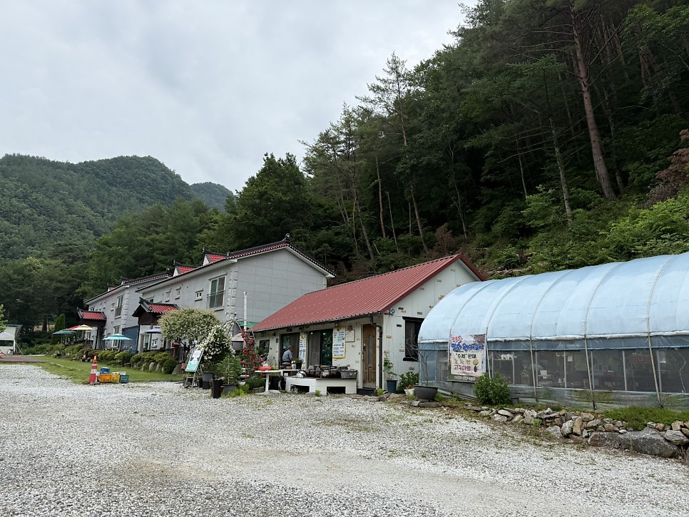 민둥산별화원카페 사진 3