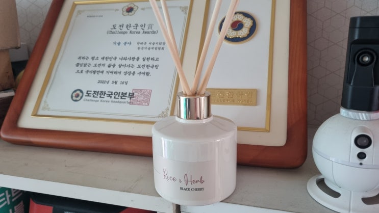  봄 생화향 가득! 살림백서 블랙체리 실내 디퓨저, 화장실 디퓨저 추천! 우리 집이 향기맛집으로 변신!