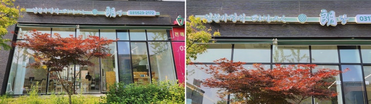  다산동맛집 테이쇼쿠랑에서 특별한 일본 음식을!