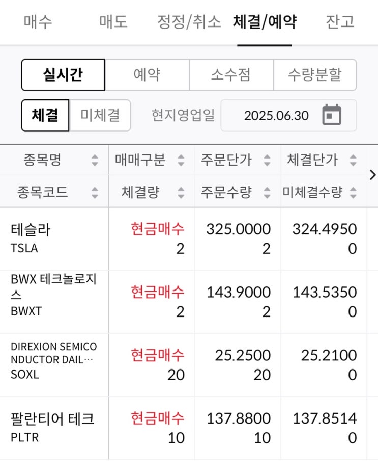테슬라, 팔란티어 등 추가매수 (25.06.30)