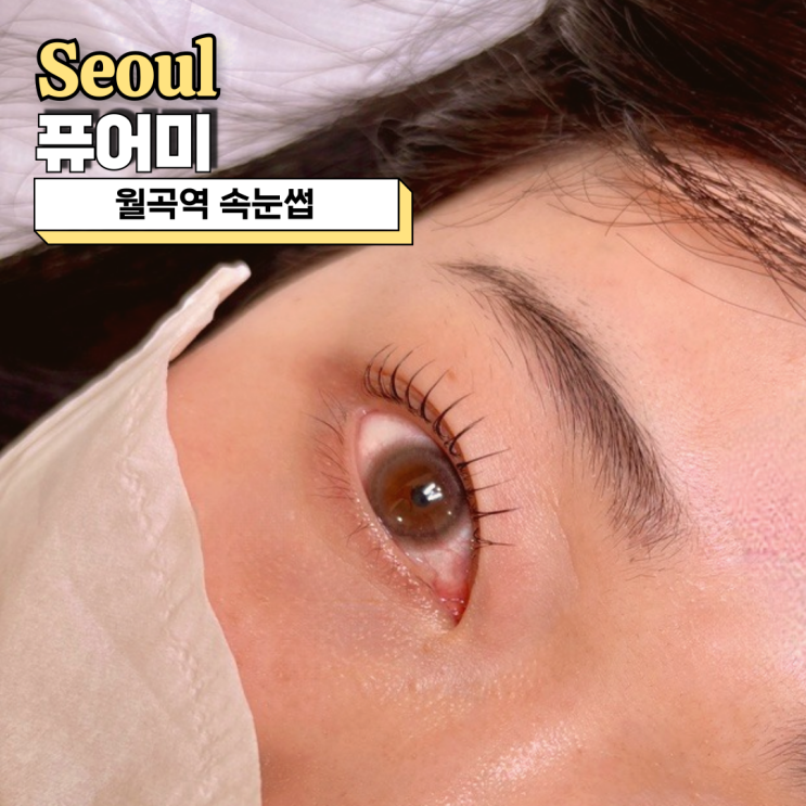  월곡역속눈썹, 퓨어미 손상 없는 케라틴펌 잘하는 곳