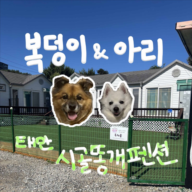 사진 6