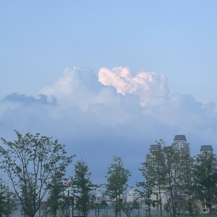  [2025-19] 한없이 맑은 일상