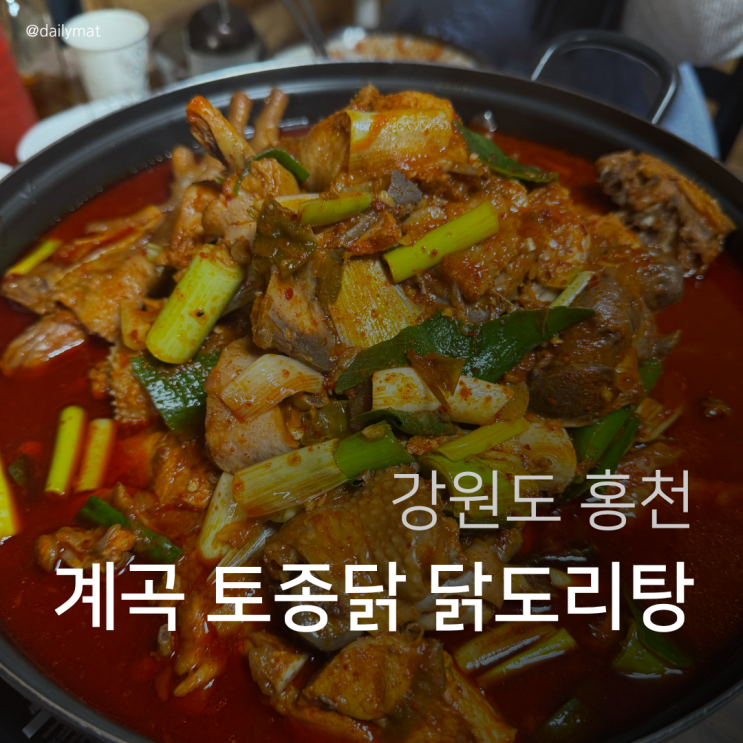  [홍천 맛집] 삼봉통나무산장 - 계곡 백숙 & 토종닭 닭도리탕