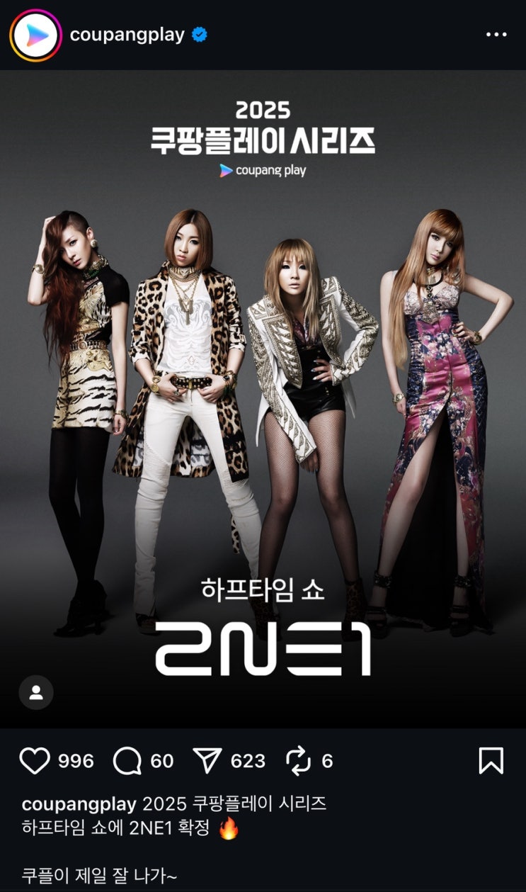 [단독] 투애니원(<b>2NE1</b>)... <b>토트넘</b> vs <b>뉴캐슬</b> 경기 하이라이트