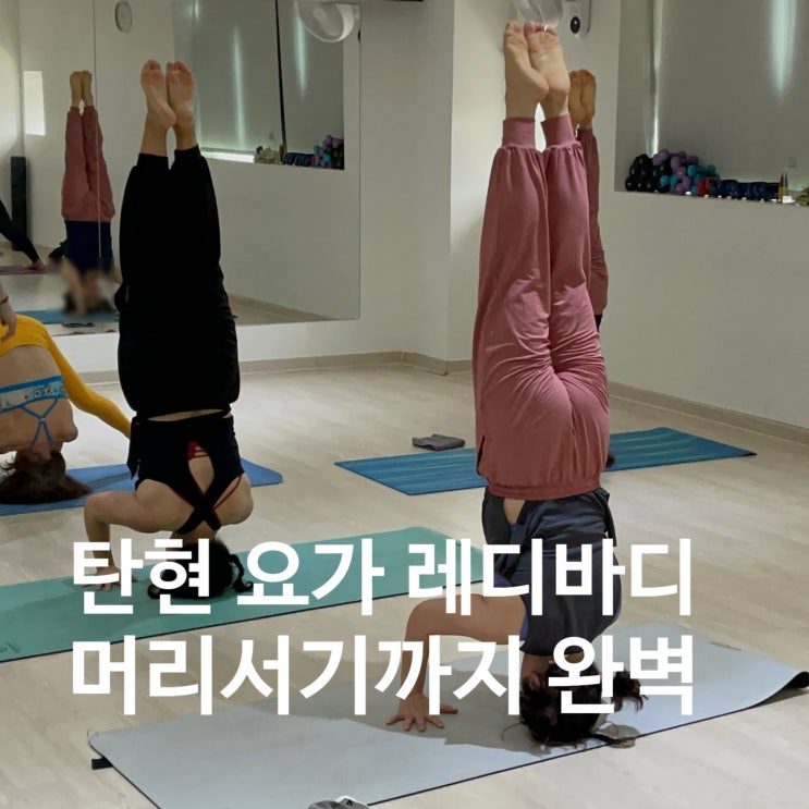  탄현 요가 레디바디 머리서기까지 완벽하게!